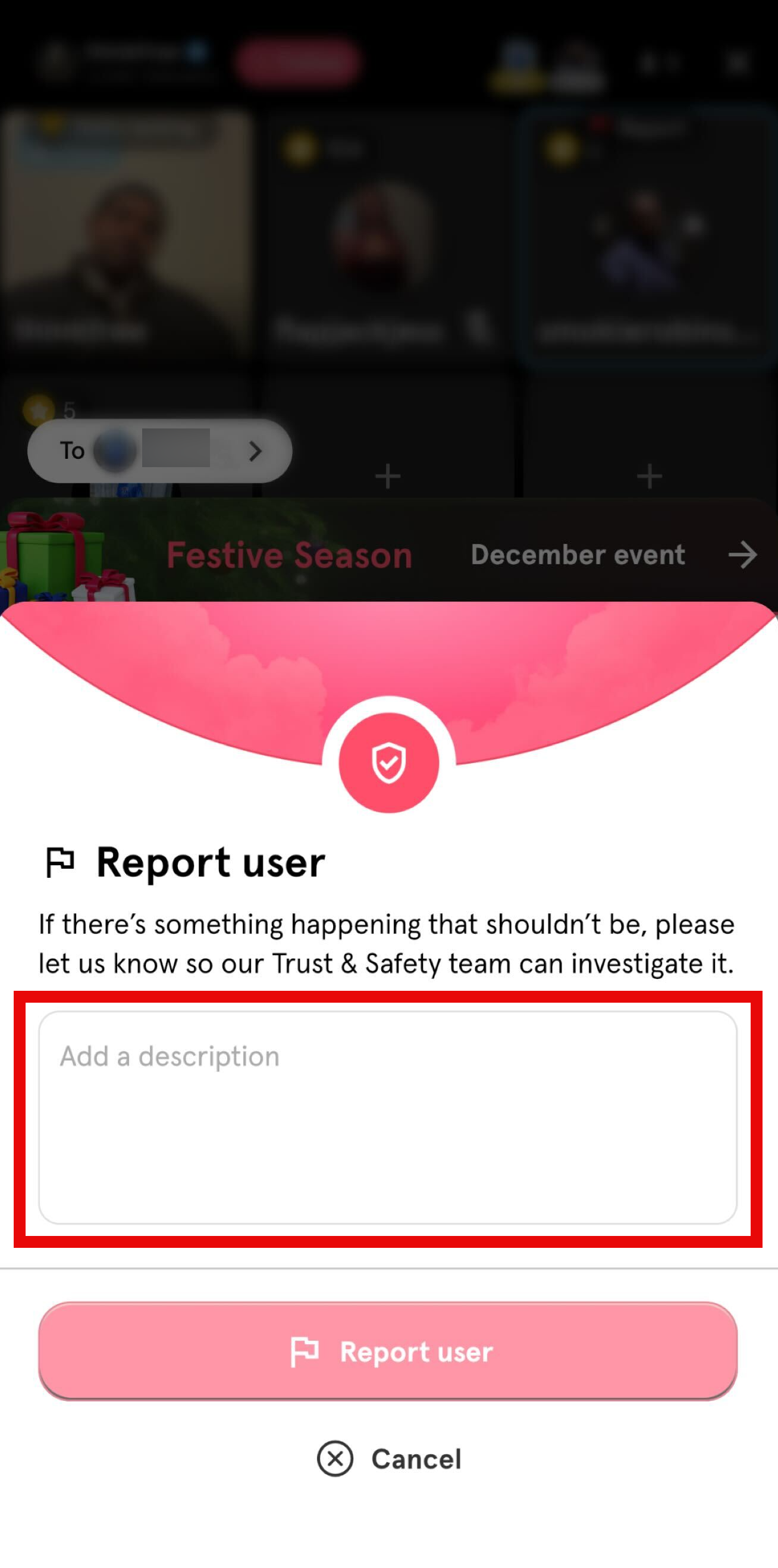 FIll in description to report user.png