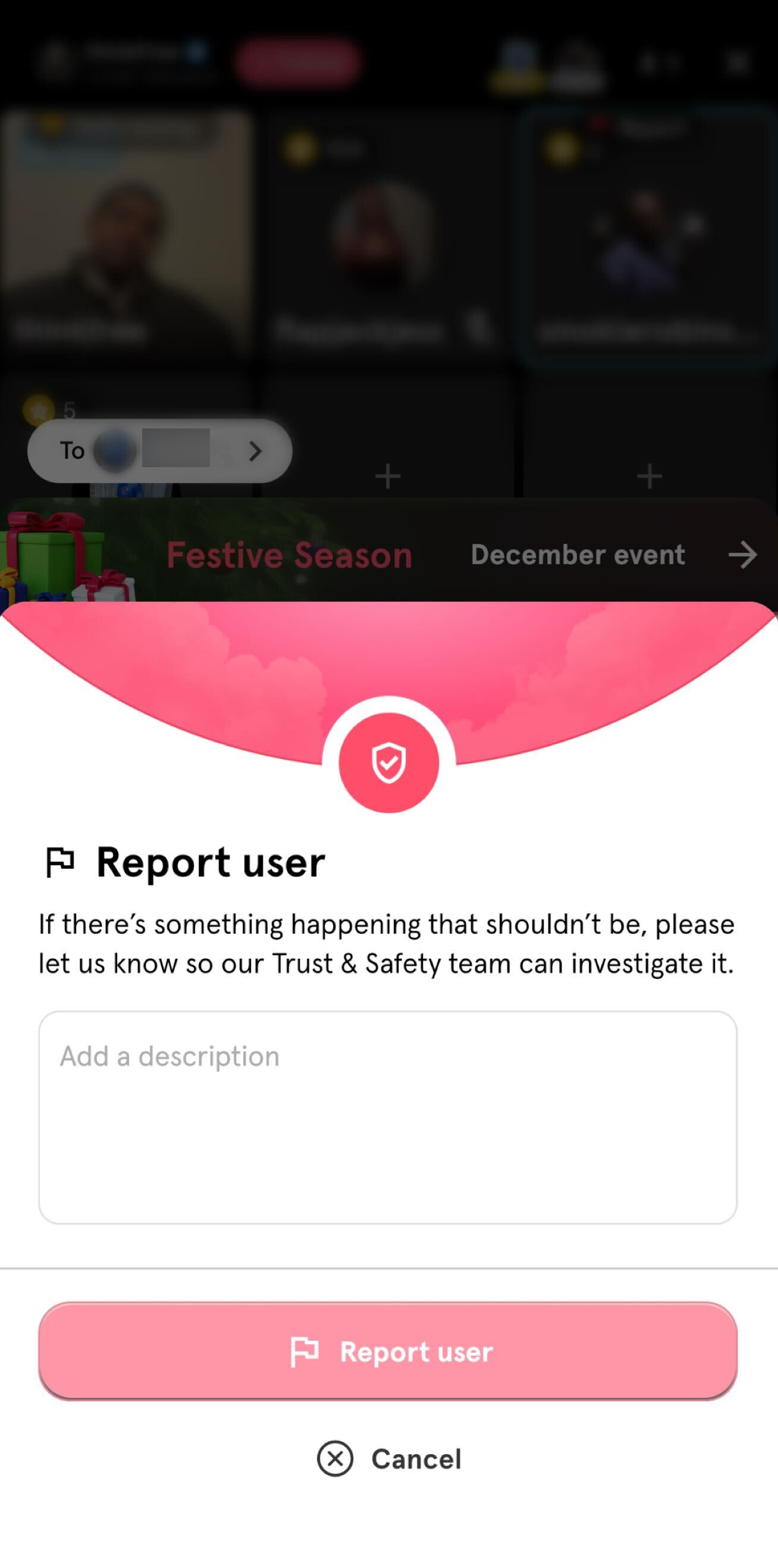 Fill out the text box with details for reporting.png