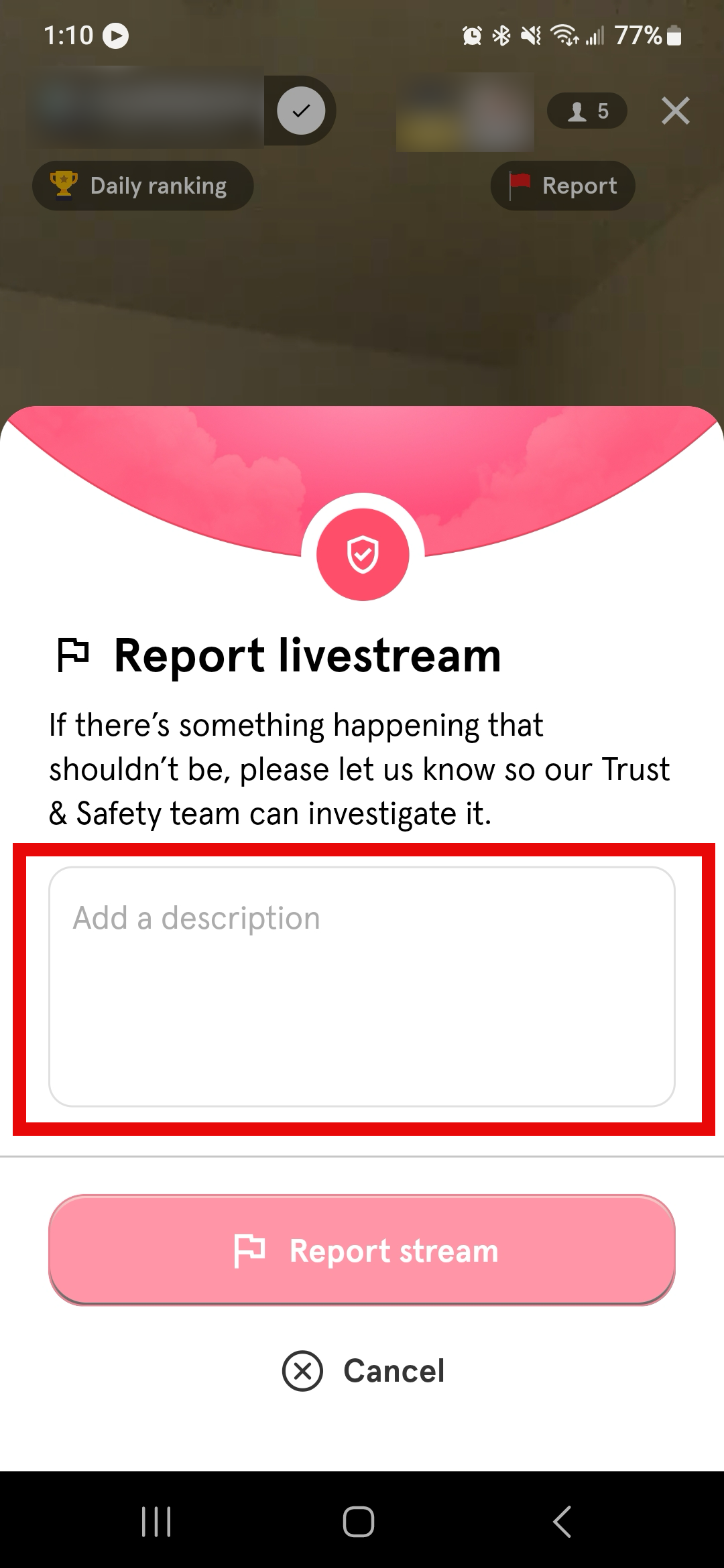 Report livestream information.png